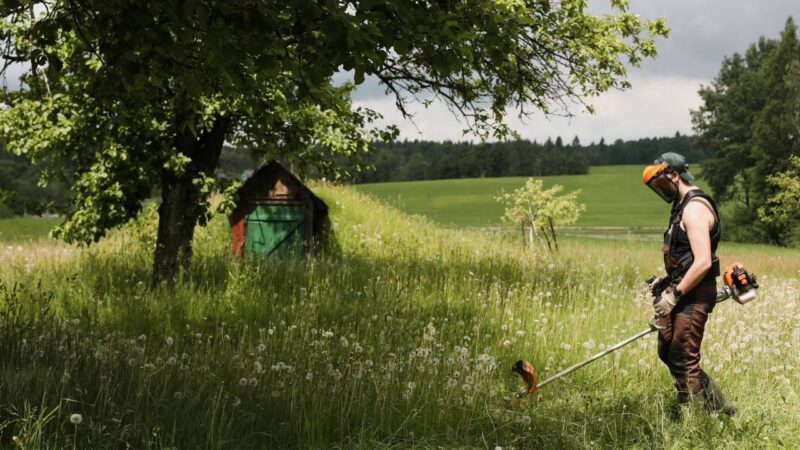 Pielęgnacja trawnika – o jakie sprzęty warto zadbać?